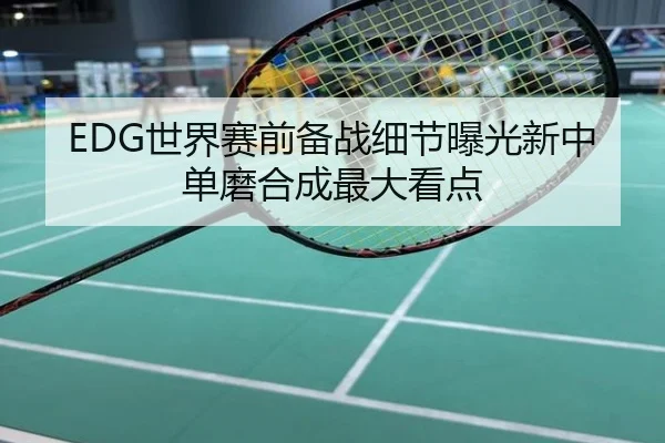 EDG世界赛前备战细节曝光新中单磨合成最大看点